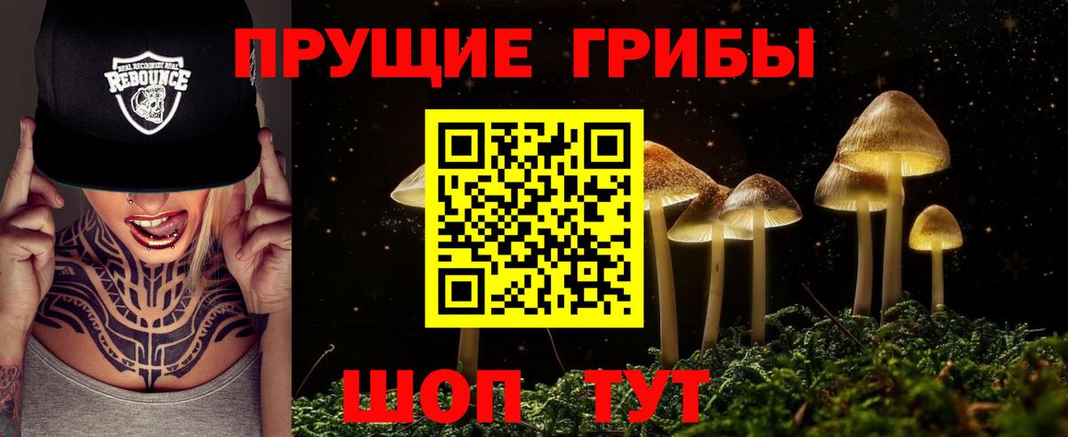 Галлюциногенные грибы Cubensis  Вход с VPN  Жигулёвск 